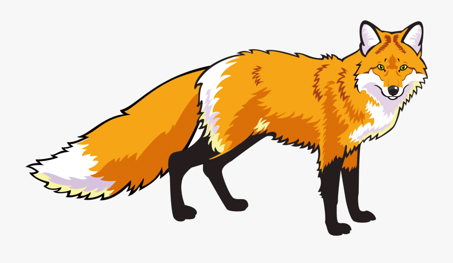 Swift-fox - Red Fox Standing, Transparent Clipart