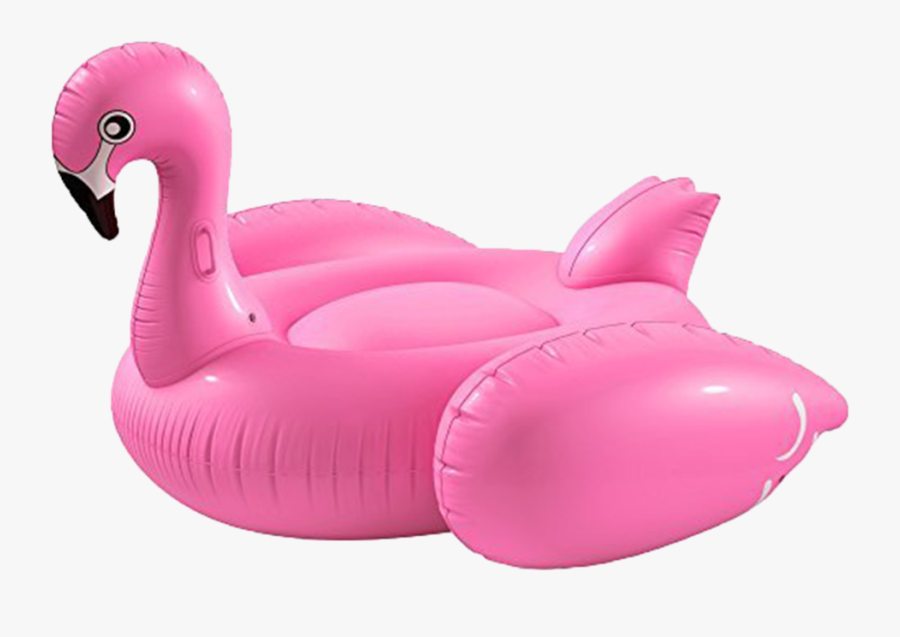 Clip Art Flamingo Swimming - Flamingo Floatie, Transparent Clipart