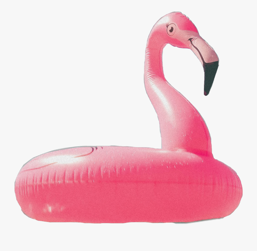 #flamingo #poolfloat #pool #aesthetic #aesthetic #object - Greater Flamingo, Transparent Clipart