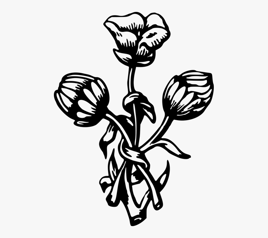 Flora, Floral, Flower, Leaf, Leafy, Leaves, Plant - Leaf, Transparent Clipart