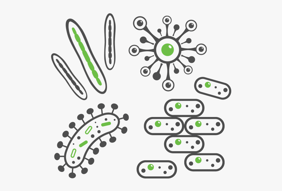 Skin Infections - Vector Graphics, Transparent Clipart