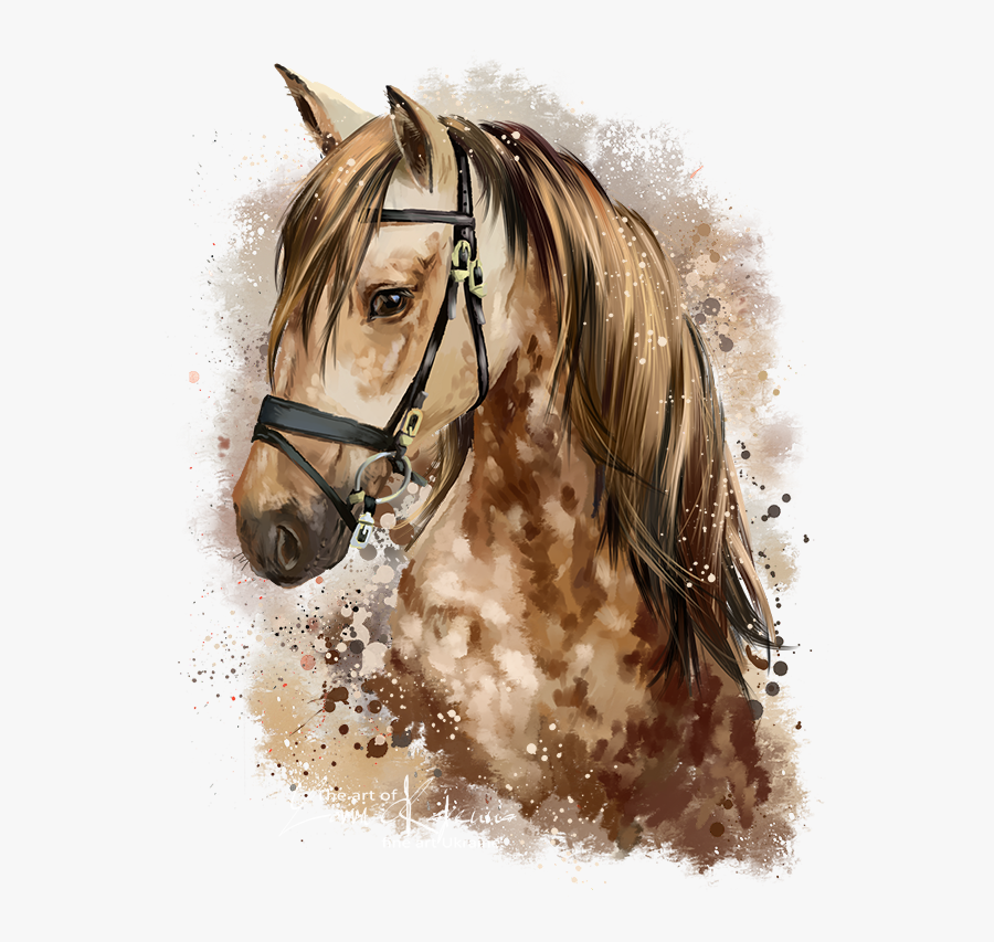 Horse Head Drawing, Transparent Clipart