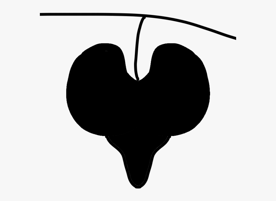 Heart Clip Art Silhouette Tree Line - Heart, Transparent Clipart