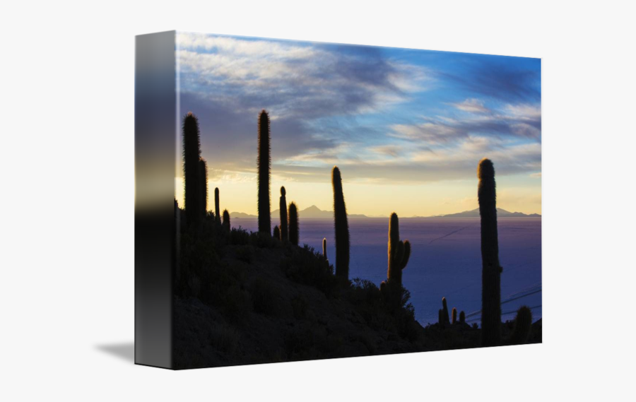 Clip Art Cacti At By Cory - Cactus, Transparent Clipart