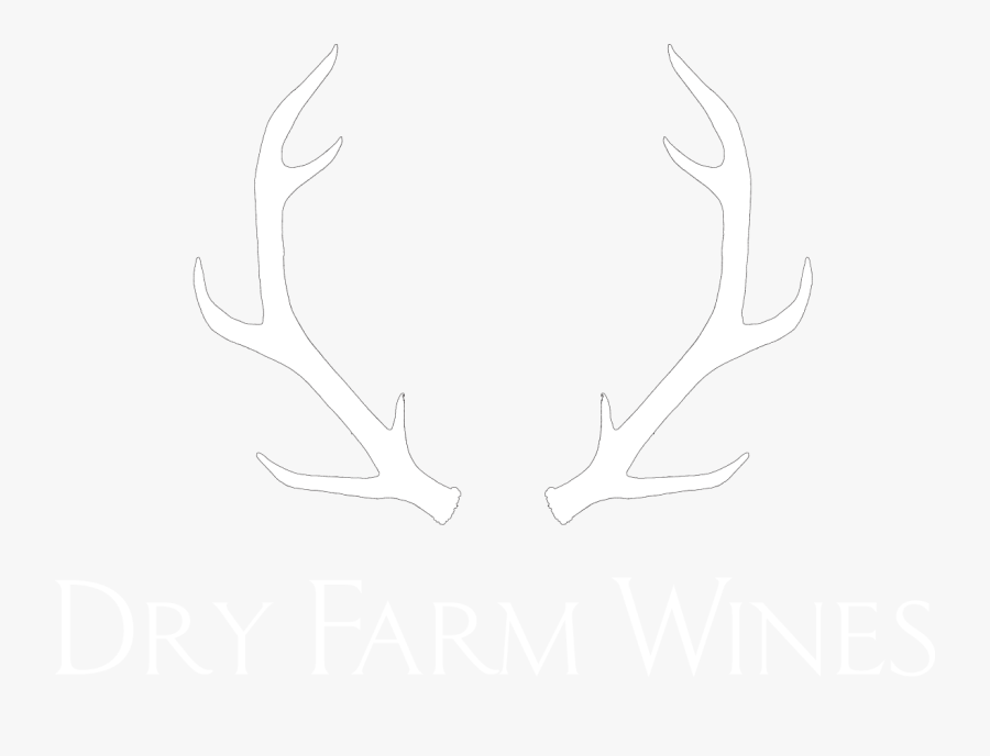 Sketch, Transparent Clipart