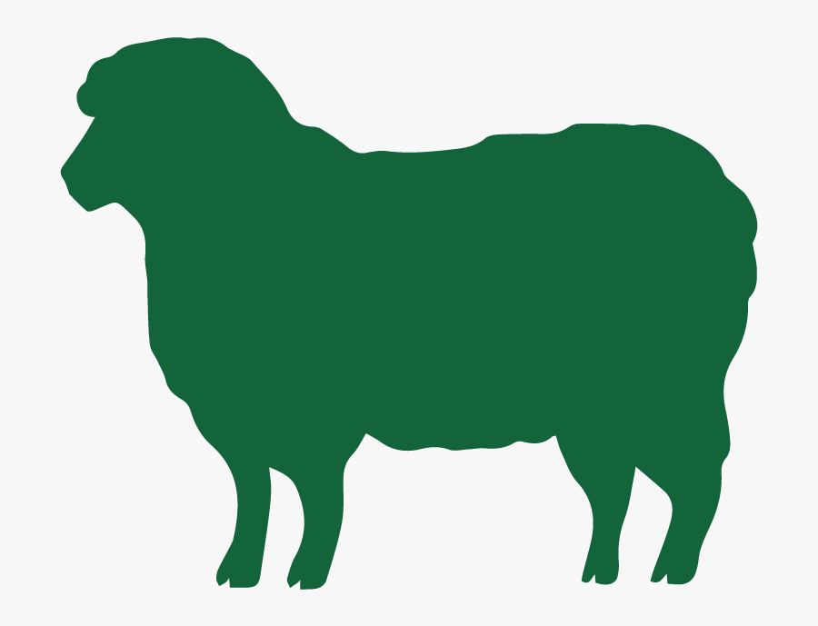 Dog, Transparent Clipart