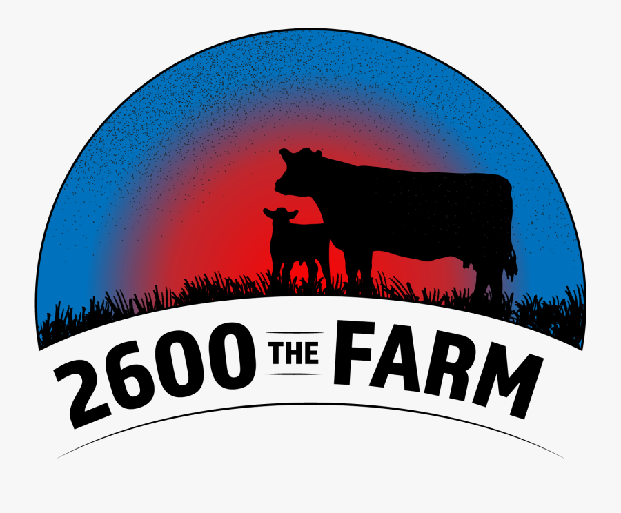 Silhouette, Transparent Clipart