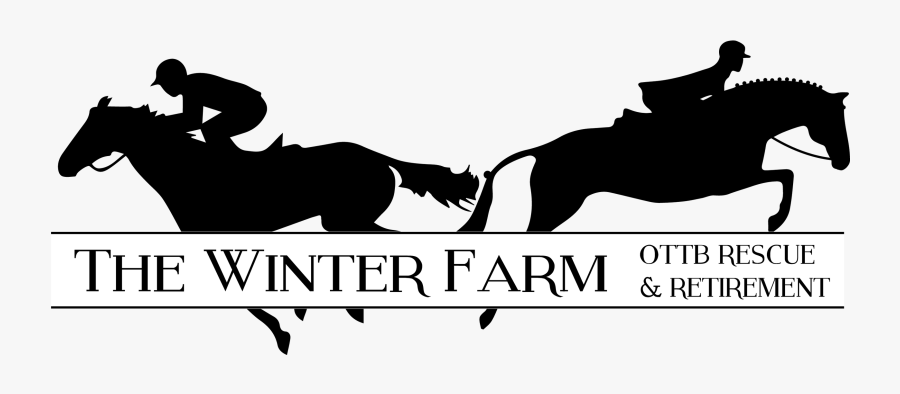 Poster, Transparent Clipart