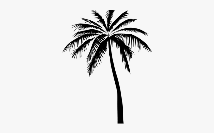 Palm Tree Silhouette - Coconut Tree Vector Png, Transparent Clipart