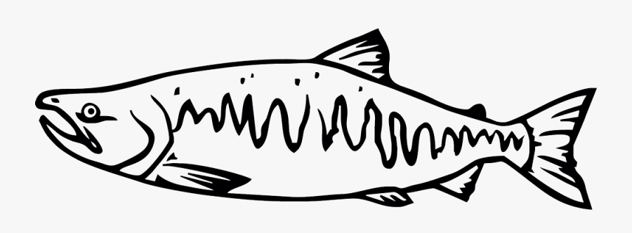 Chinook Salmon Black And White, Transparent Clipart