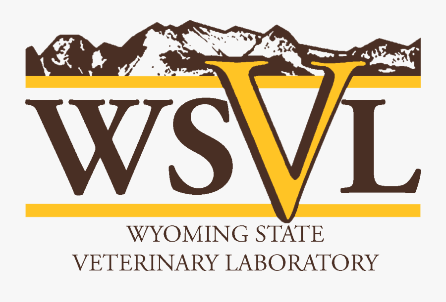 Wsvl Logo - Illustration, Transparent Clipart