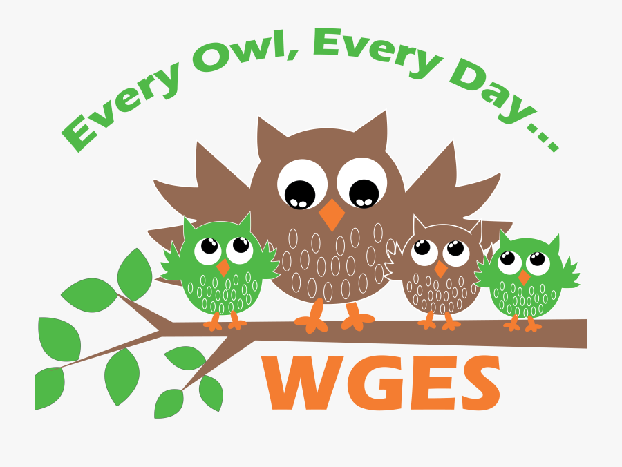 Cute Owl, Transparent Clipart
