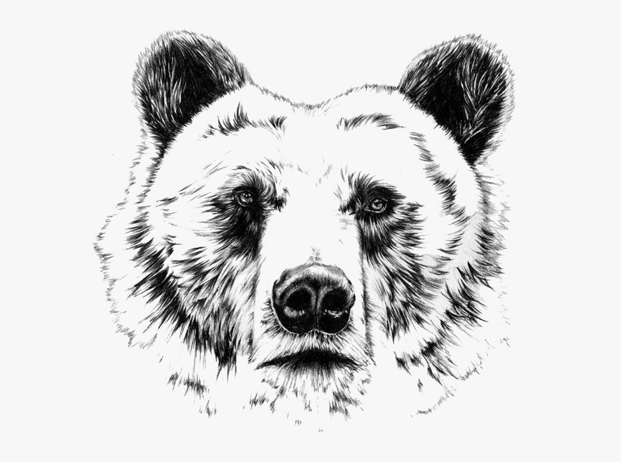 Clip Art Pencil Sketches Of Animals - Realistic Bear Tattoo Design, Transparent Clipart