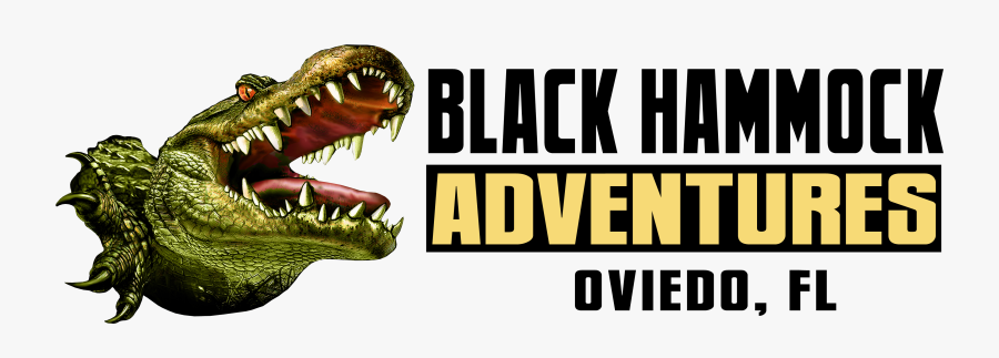 Experience The Thrill Of Lake Jesup Home To The Largest - Black Hammock Airboat Rides, Transparent Clipart