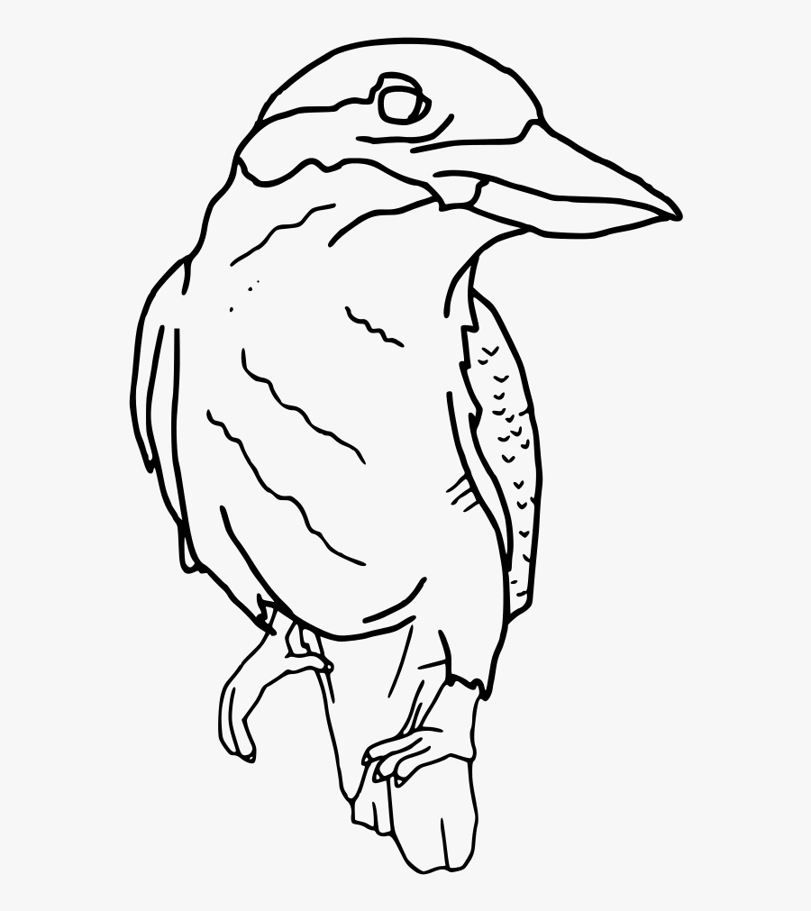 Kookaburra Perched Outline - Black Kookaburra Png, Transparent Clipart