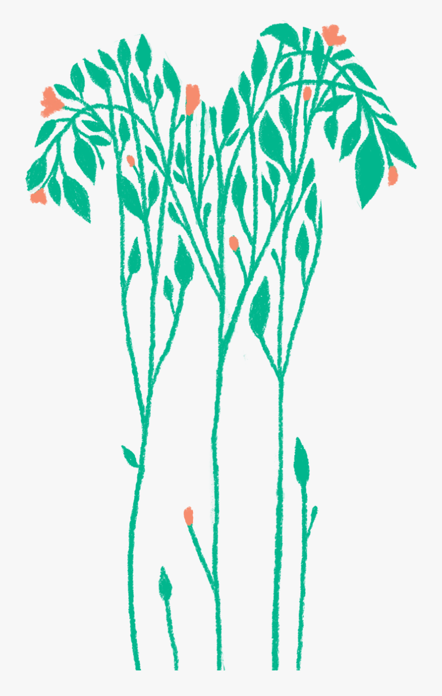 Illustration By Hannah Salyer, Transparent Clipart