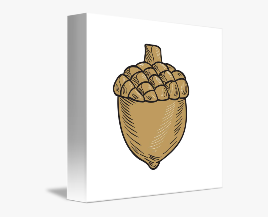 Acorn Drawing - Fast Food, Transparent Clipart