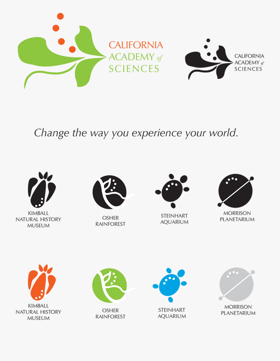 Exhibit Clipart Final Project - California Academy Of Sciences, Transparent Clipart