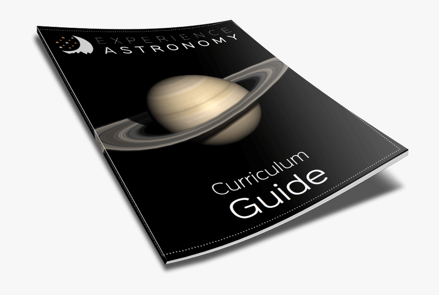 Garlic, Transparent Clipart