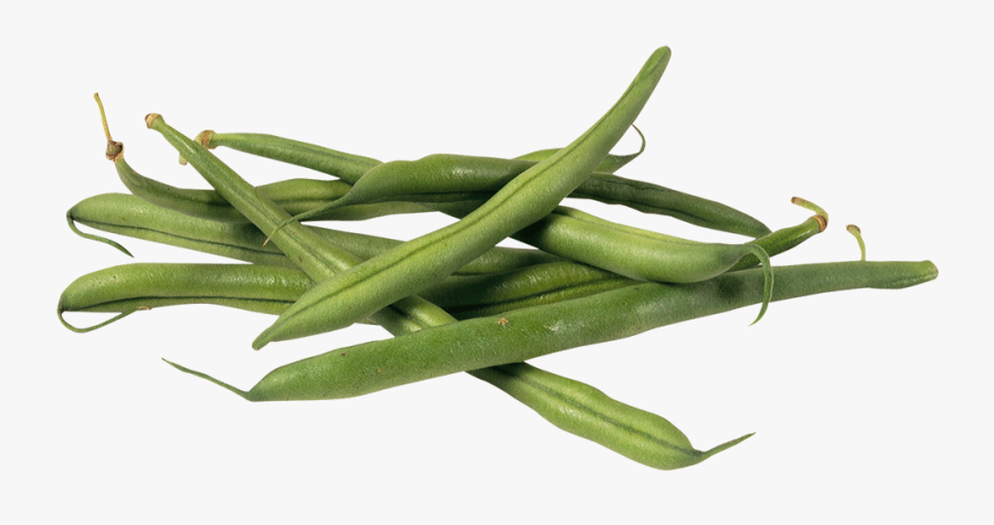 French Beans Square - Green Bean, Transparent Clipart