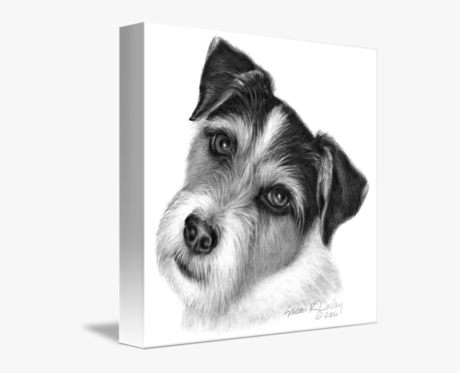 Clip Art Jack Russell Terrier Wirehaired - Szkicowanie Psa, Transparent Clipart