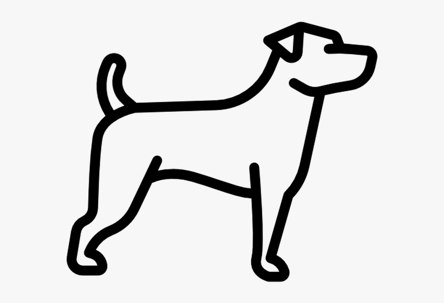 Medicina Veterinaria, Transparent Clipart