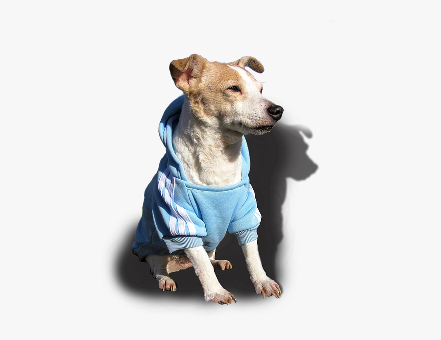 Clip Art Cute Jack Russell - 직업 종류, Transparent Clipart