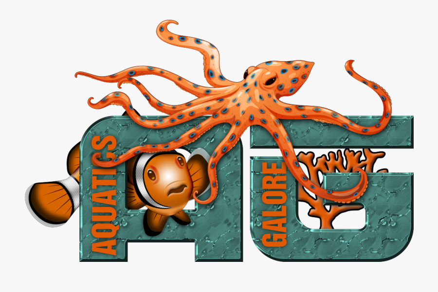 Aquatics Galore, Transparent Clipart