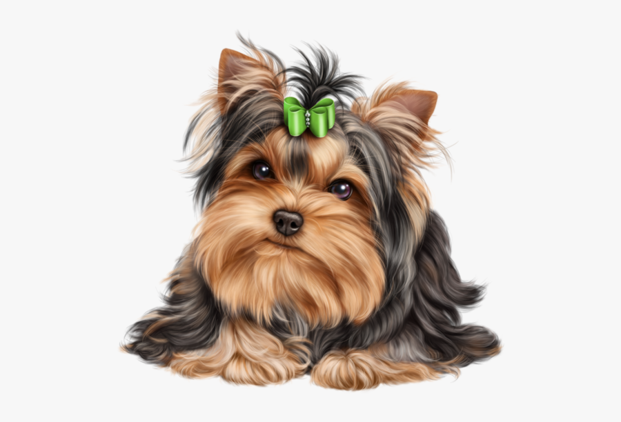 Yorkshire Terrier Vector Png, Transparent Clipart