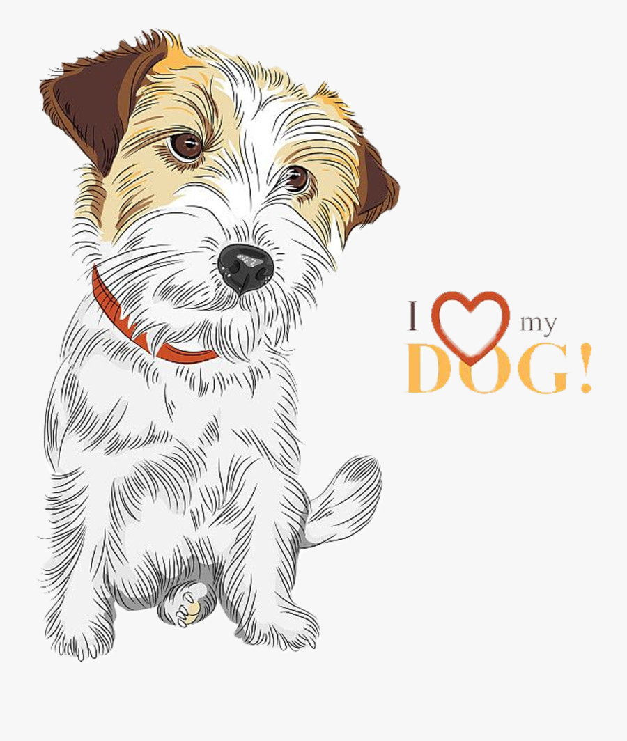 Terrier Drawing Norfolk - Jack Russell Terrier Illustration, Transparent Clipart