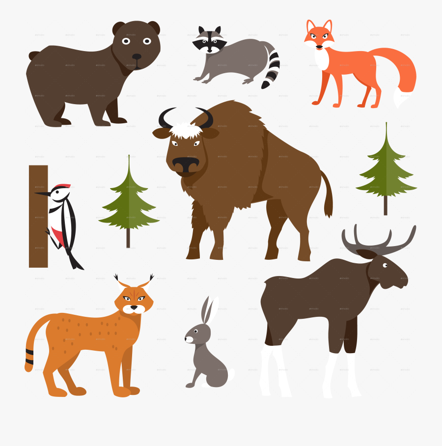 Forest Animal Cartoon Png, Transparent Clipart