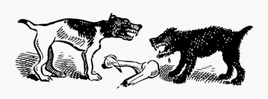 Dogs, Wild, Animals, Angry, Fighting, Bone, Wildlife - Dogs Fighting Over Bone, Transparent Clipart
