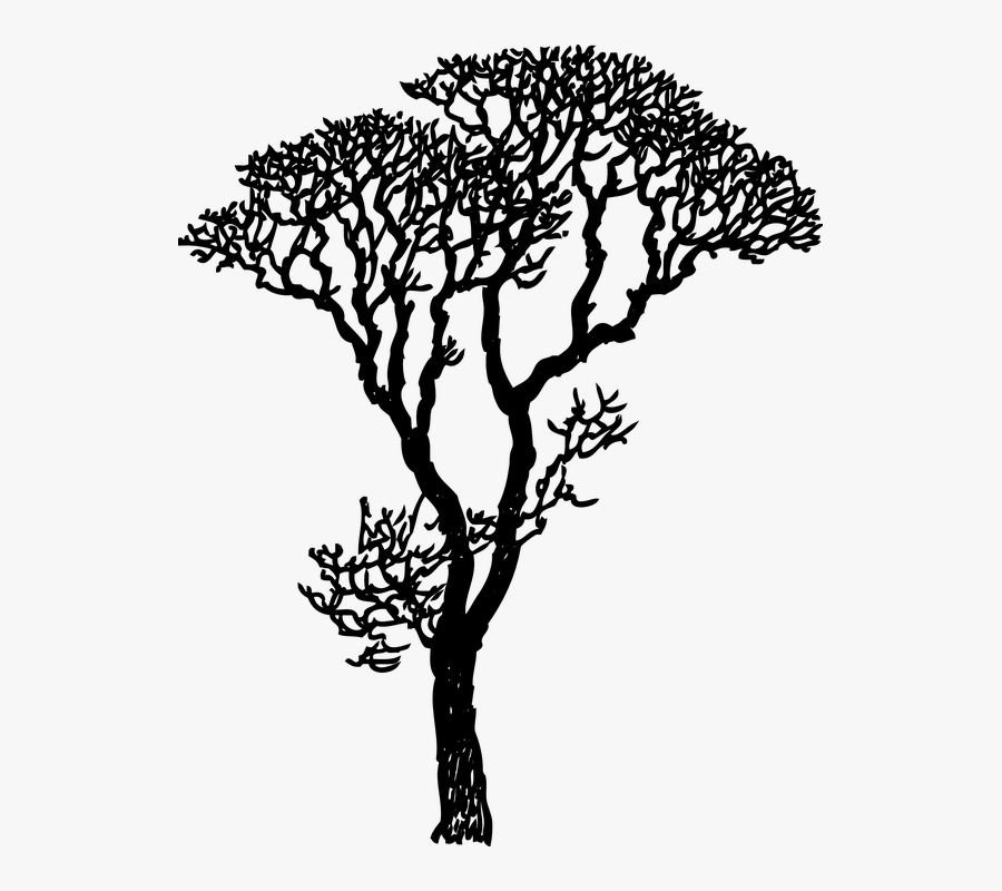 Tree Png Black And White, Transparent Clipart