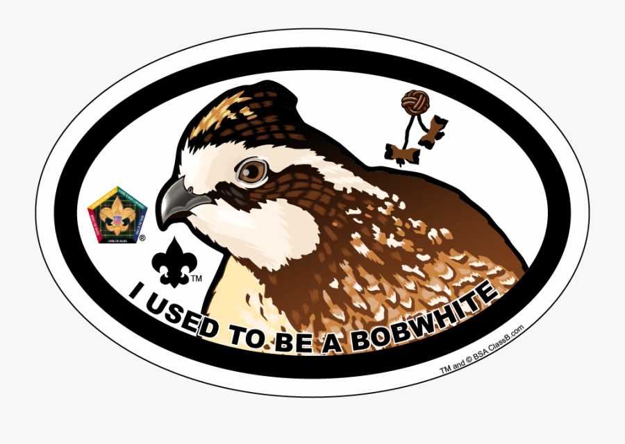 Wood Badge Fox, Transparent Clipart