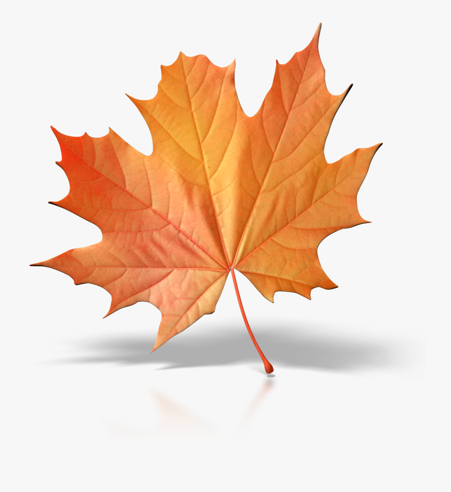 One Fall Leaf Png Clip Art - Single Fall Leaf Clipart, Transparent Clipart
