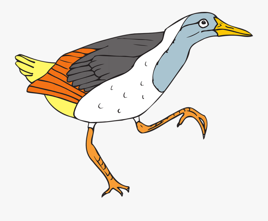 Bird, Wings, Walking, Feathers, Species, Grouse - Grouse Clip Art, Transparent Clipart