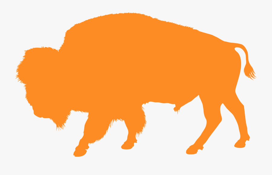 Buffalo And Cactus Baby Shower Invite, Transparent Clipart