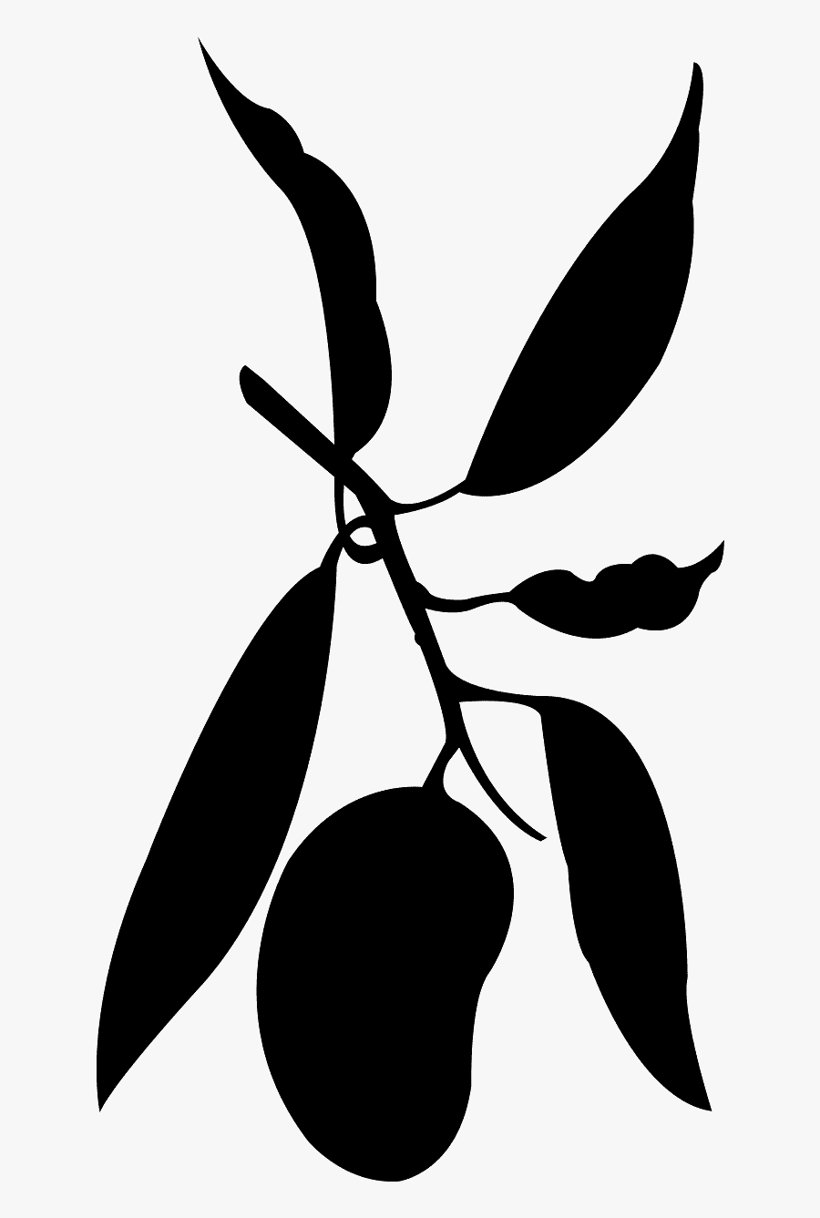 Mangos Silhouette, Transparent Clipart