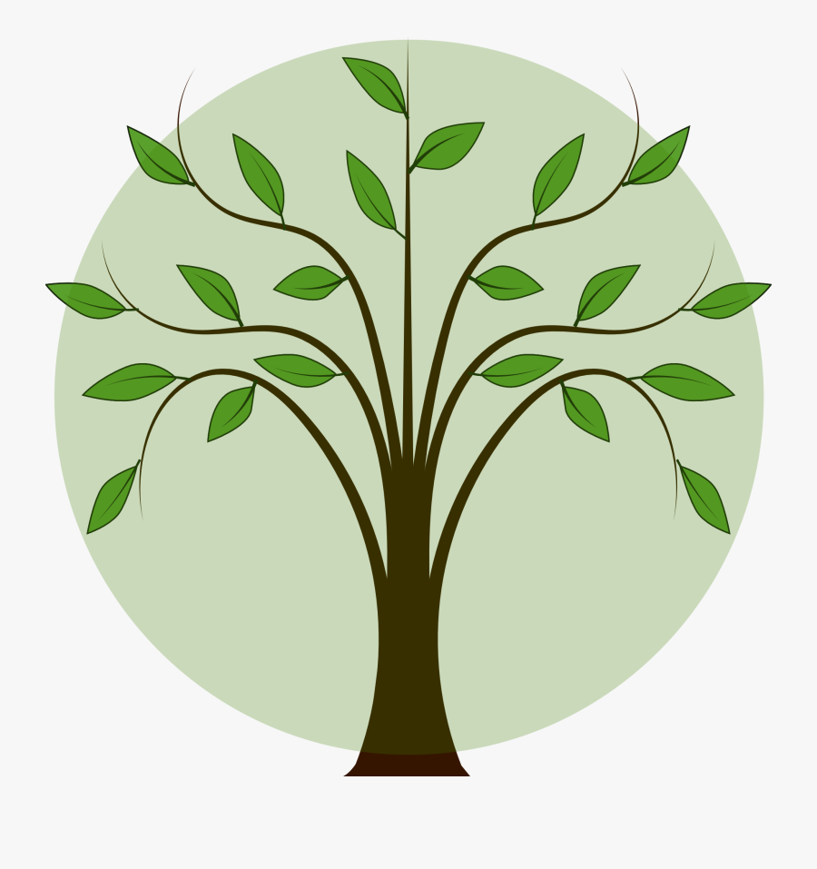 Tree With Leaves Clipart, Transparent Clipart