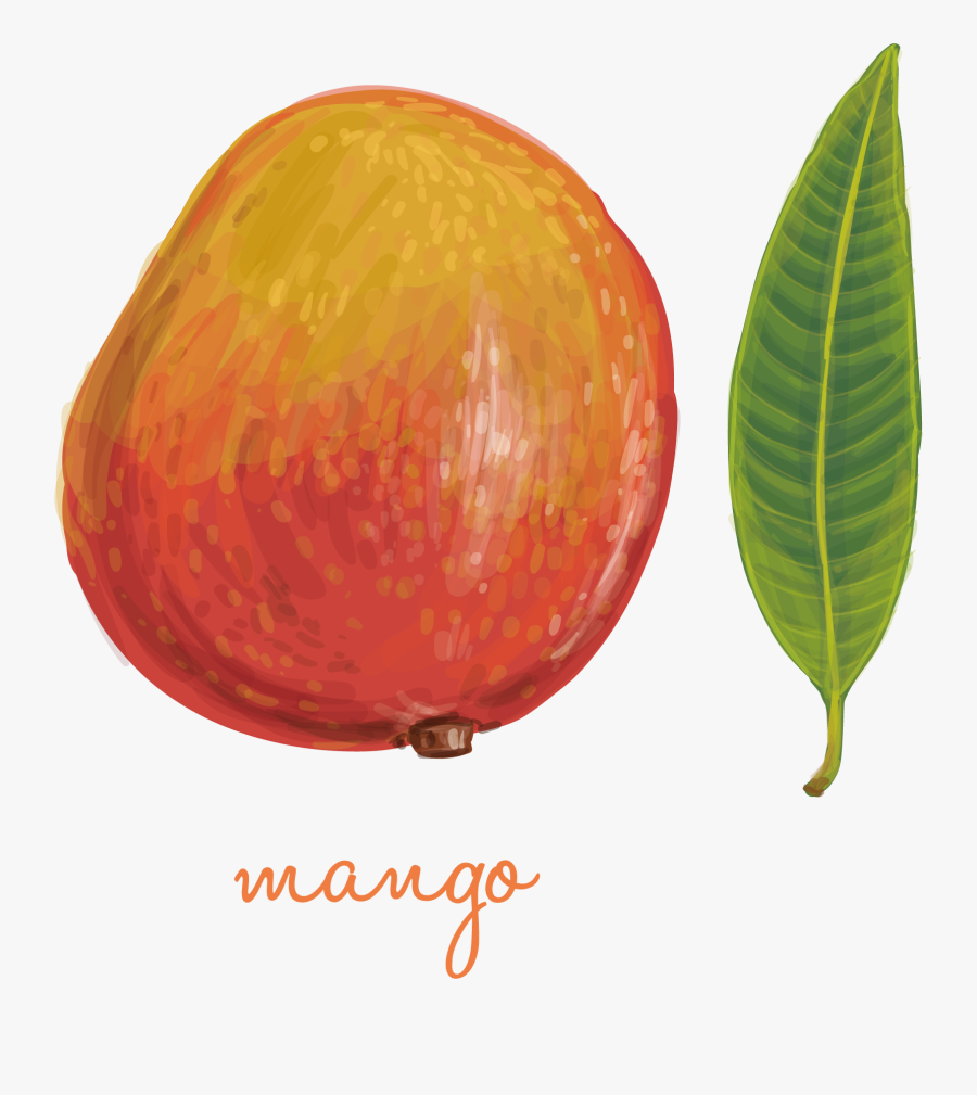 Apple, Transparent Clipart