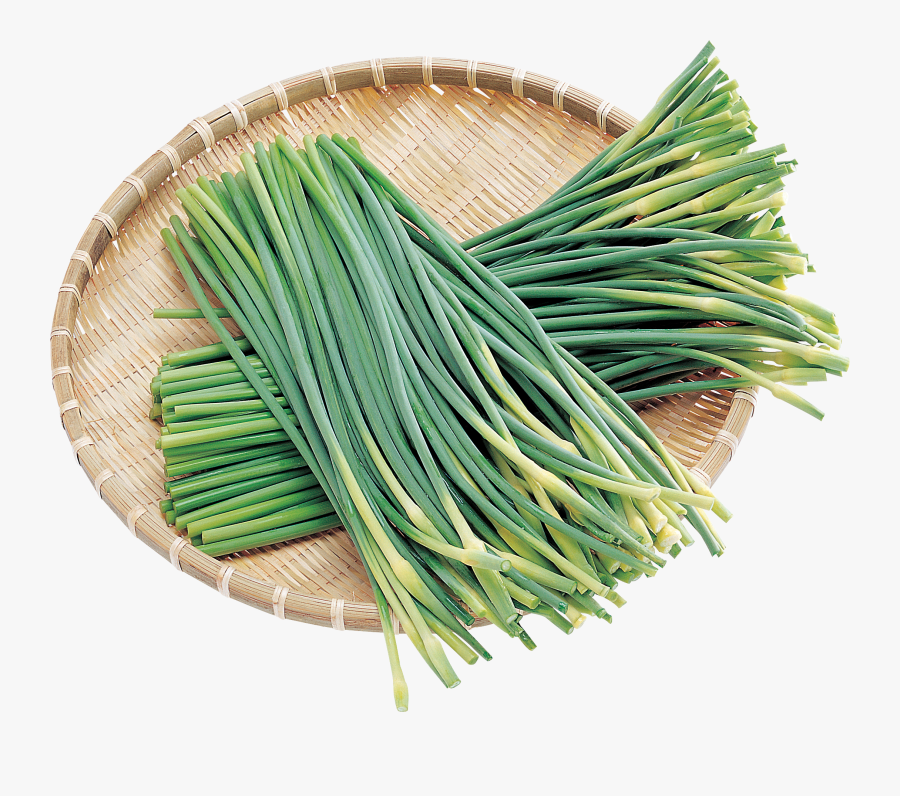 Leek Png - 蒜苔 Png, Transparent Clipart