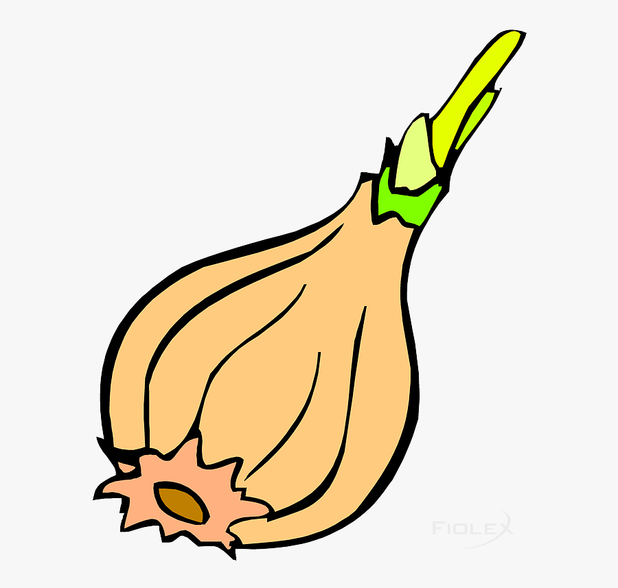 Vegetable, Transparent Clipart