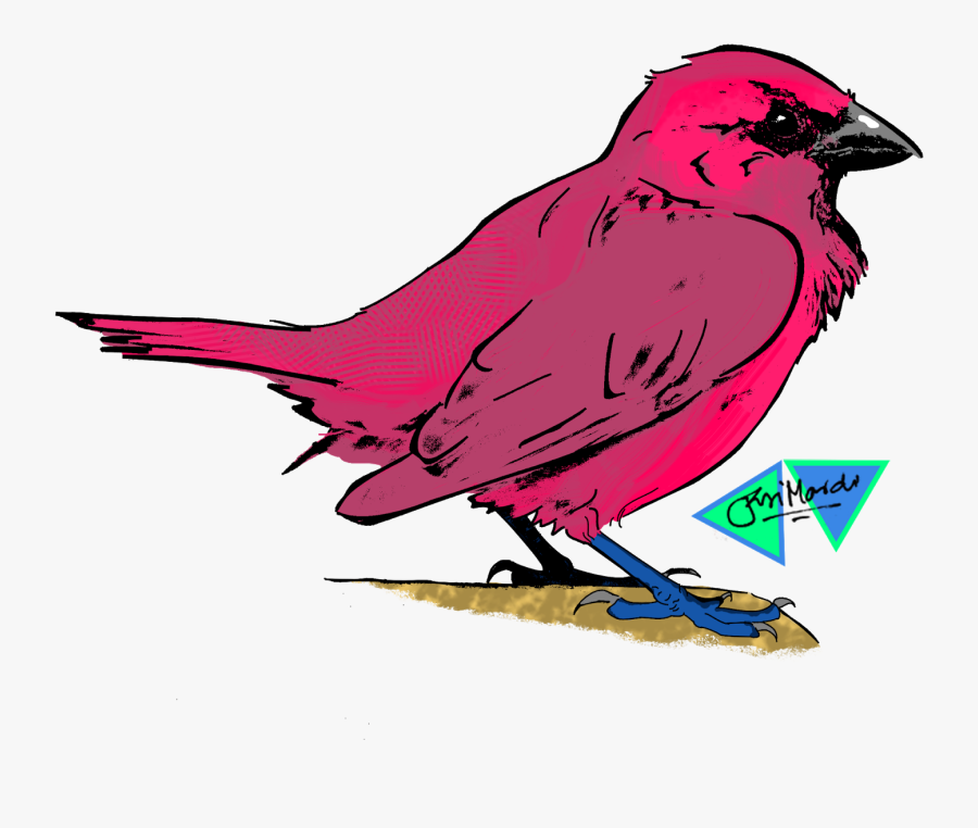 Transparent Sparrow Tattoo Png - Perching Bird, Transparent Clipart