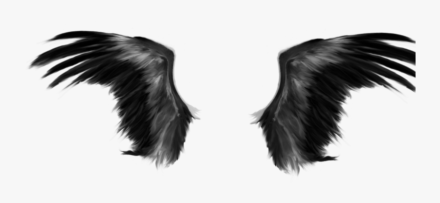 Drawing Edits Picsart - Transparent Background Bird Wing Clipart, Transparent Clipart