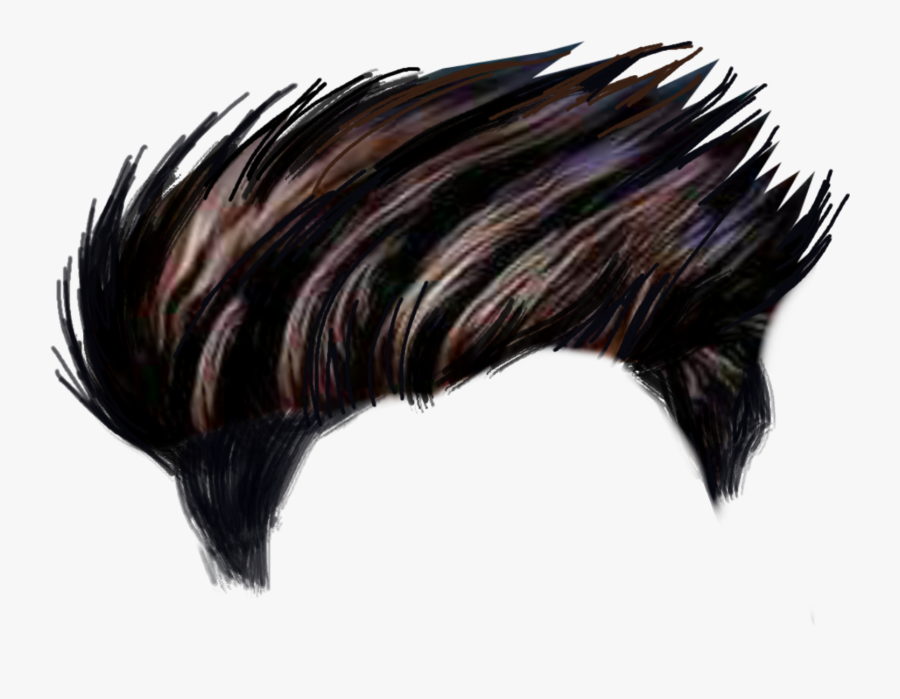 Editing Hair Png, Transparent Clipart