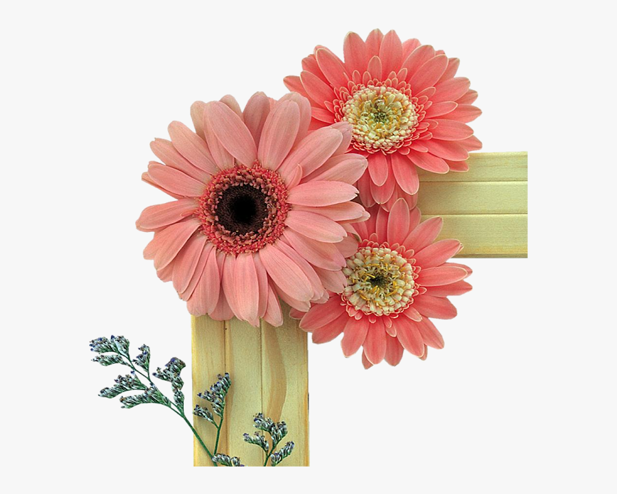 Transparent Stylo Clipart - Full Hd Studio Psd Background, Transparent Clipart