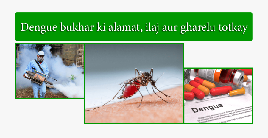 Dengue Bachao Png, Transparent Clipart