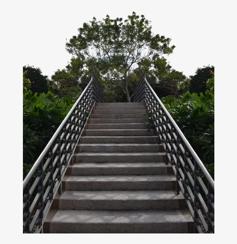 Transparent Forest Clipart Backgrounds - Full Hd Png Background, Transparent Clipart