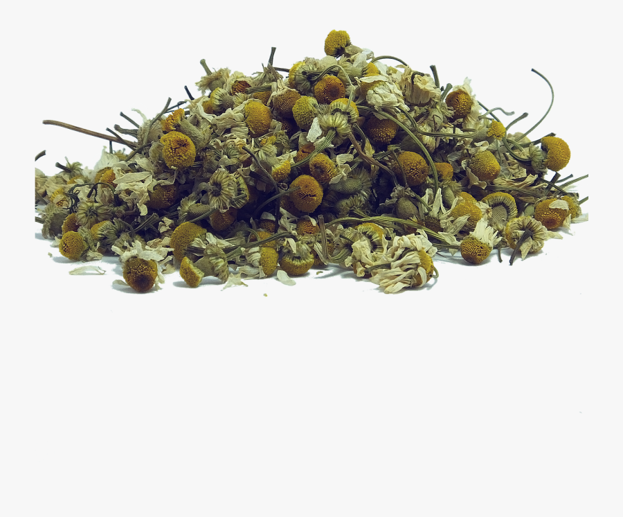 Herb, Transparent Clipart