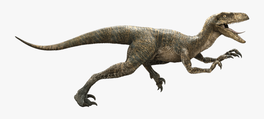 Raptor Dinosaur, Transparent Clipart